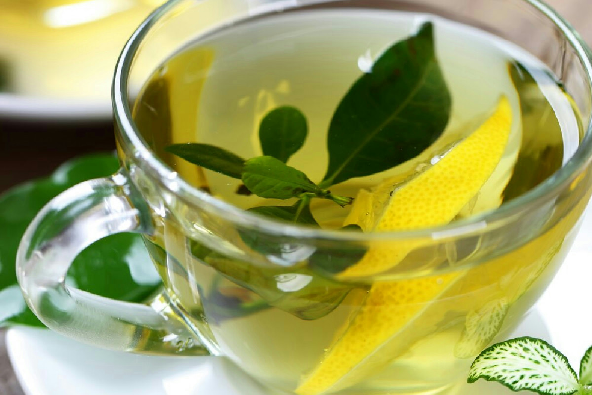 Un semplice metodo con il tè verde per migliorare la salute delle piante in modo naturale e duraturo